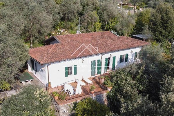 casa indipendente in affitto a Pietrasanta