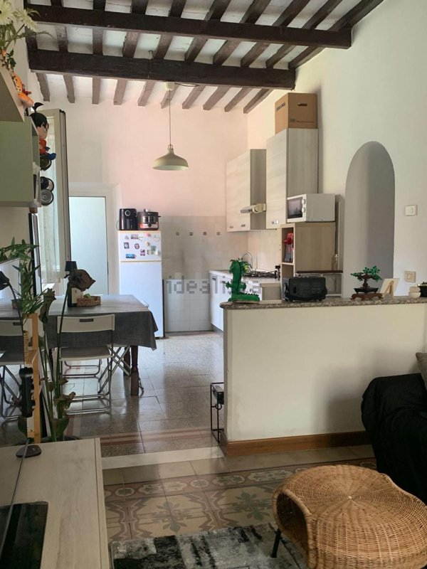 appartamento in affitto a Pietrasanta