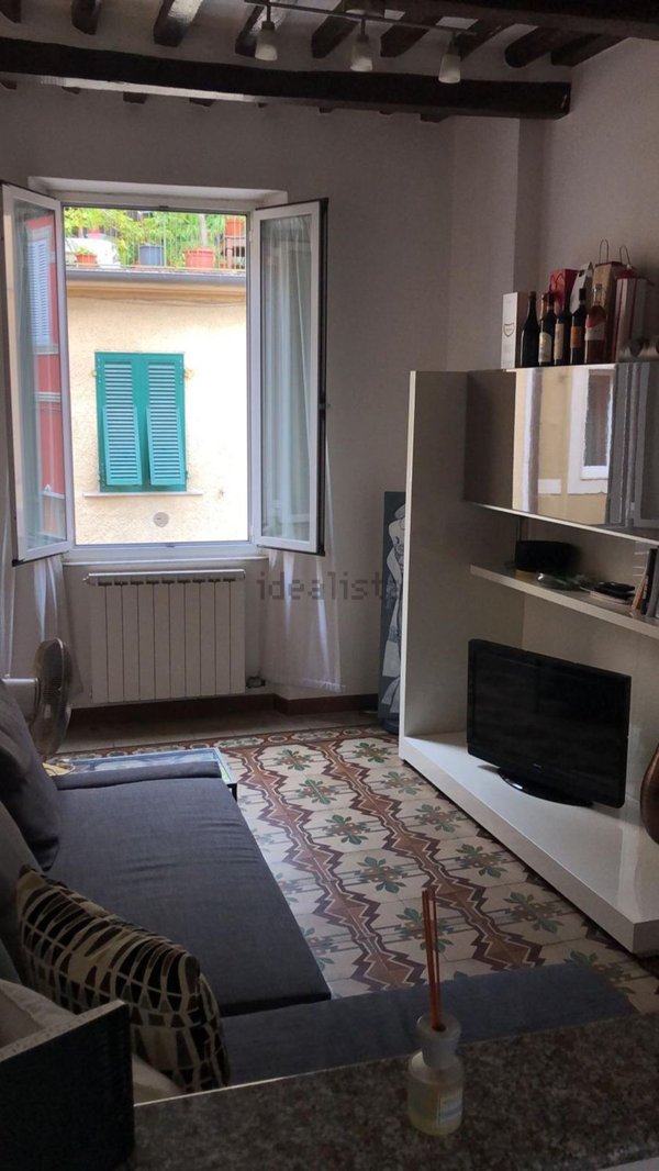 appartamento in affitto a Pietrasanta