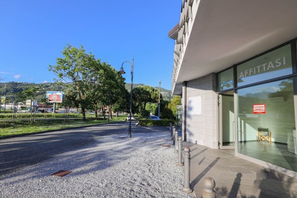 locale commerciale in affitto a Pietrasanta
