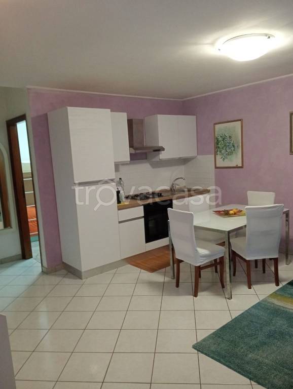 appartamento in affitto a Pietrasanta in zona Marina di Pietrasanta
