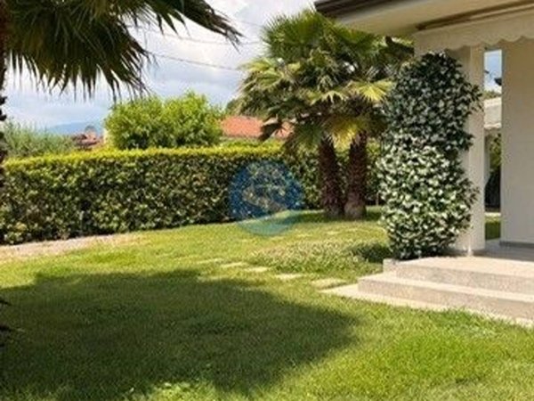 casa indipendente in affitto a Pietrasanta in zona Marina di Pietrasanta