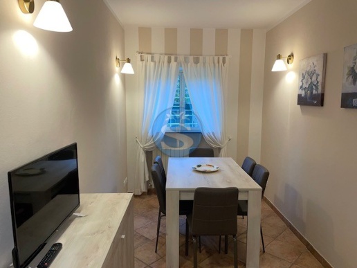 casa indipendente in affitto a Pietrasanta
