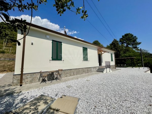 casa indipendente in affitto a Pietrasanta