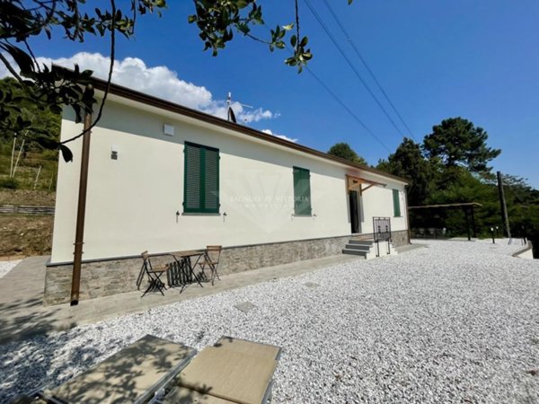 casa indipendente in affitto a Pietrasanta