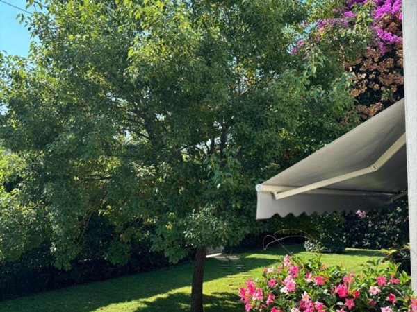 casa indipendente in affitto a Pietrasanta in zona Vignone
