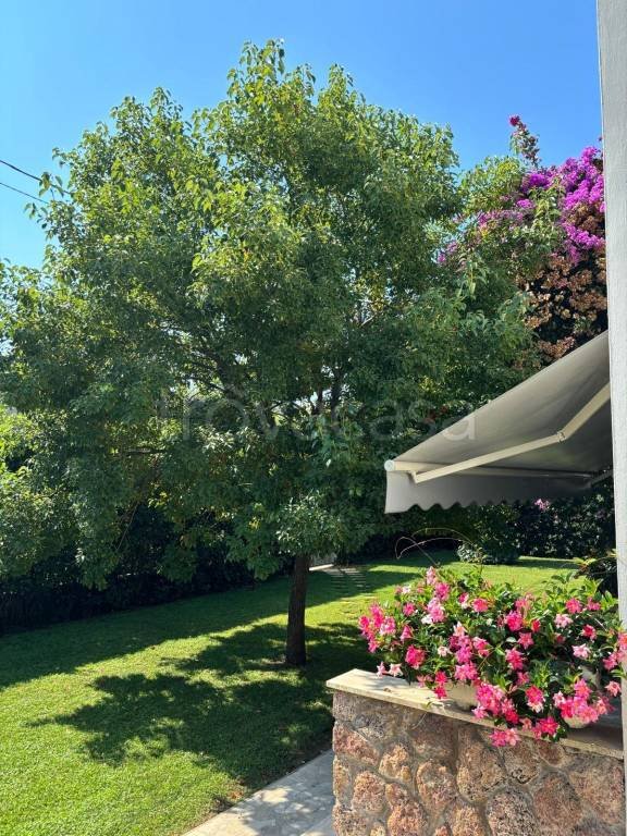 casa indipendente in affitto a Pietrasanta in zona Vignone