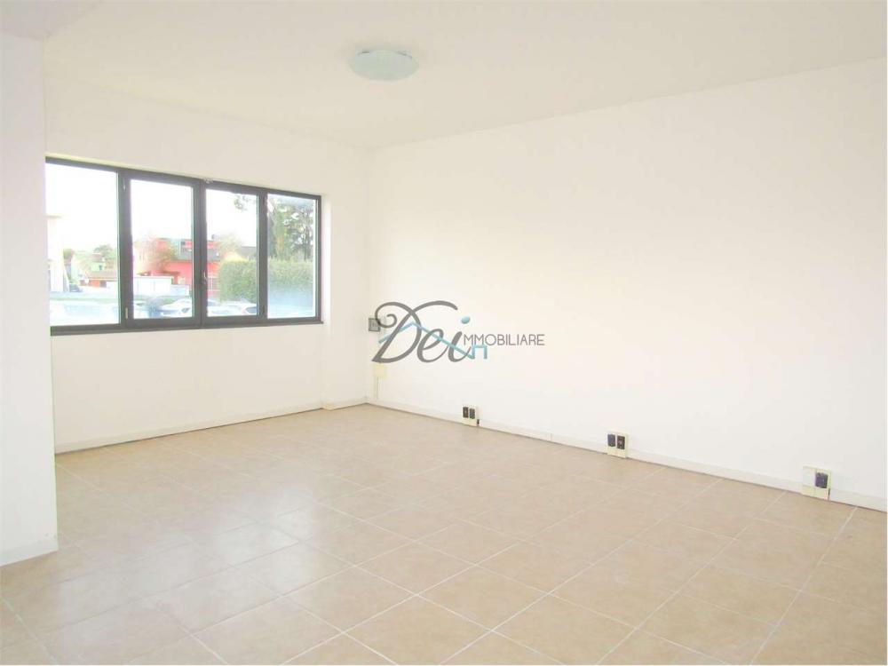 negozio in affitto a Porcari