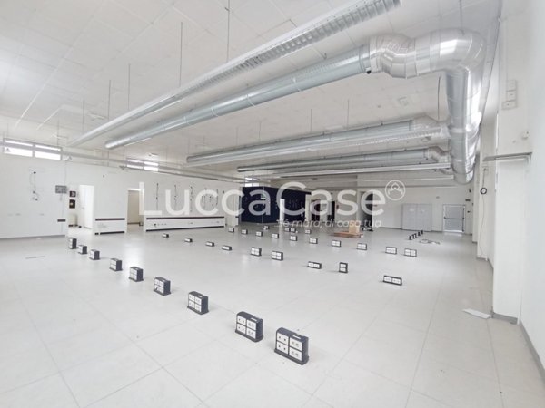 ufficio in affitto a Porcari