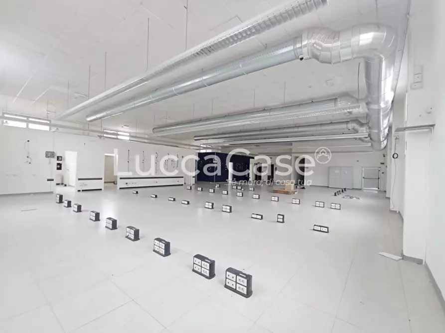 ufficio in affitto a Porcari