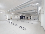 ufficio in affitto a Porcari