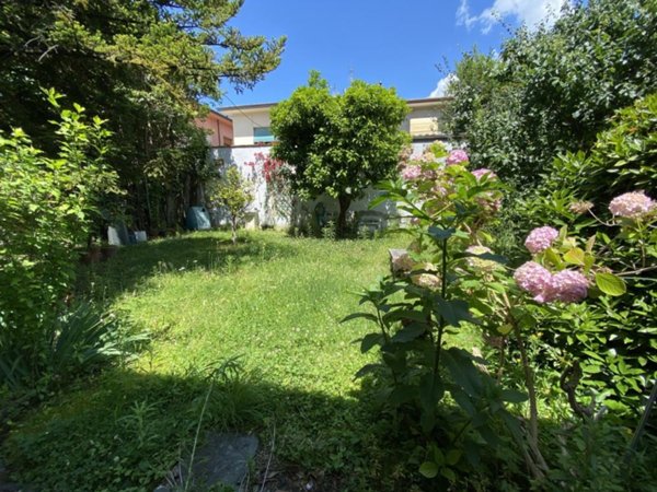 appartamento in affitto a Seravezza in zona Ripa