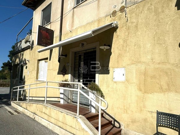 negozio in affitto a Seravezza in zona Querceta