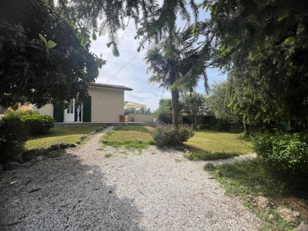 casa indipendente in affitto a Seravezza