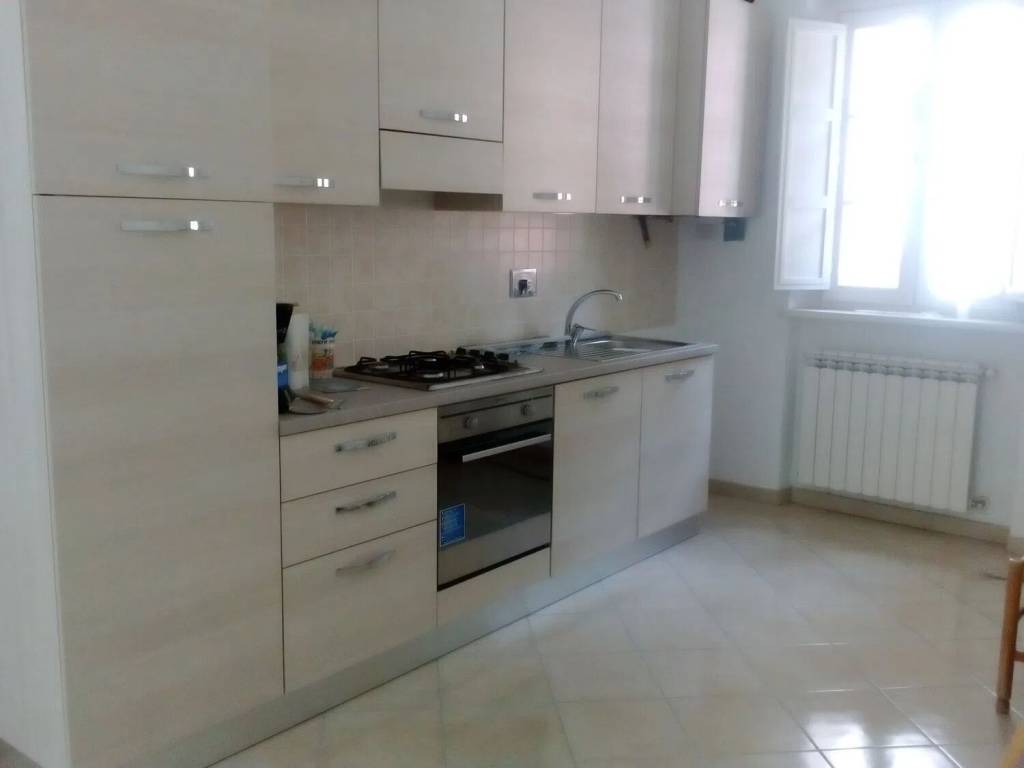 appartamento in affitto a Seravezza