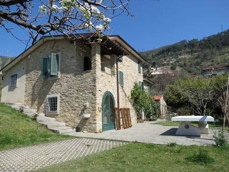 casa indipendente in affitto a Seravezza