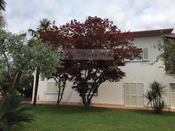 appartamento in affitto a Seravezza in zona Querceta