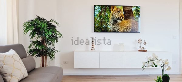 appartamento in affitto a Seravezza in zona Querceta