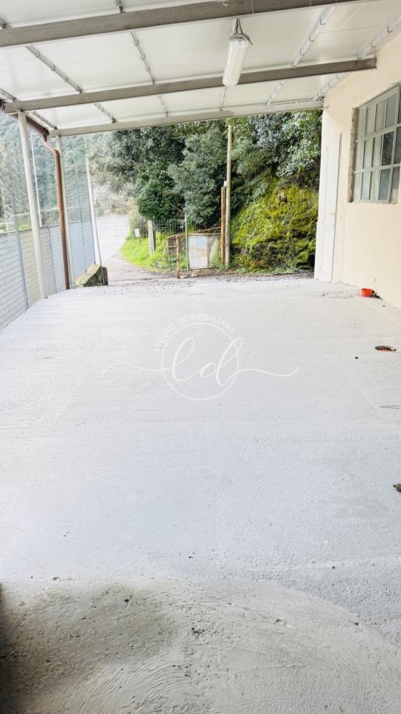 capannone in affitto a Seravezza