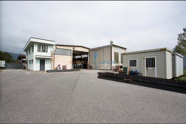 pentavano in affitto a Seravezza in zona Querceta