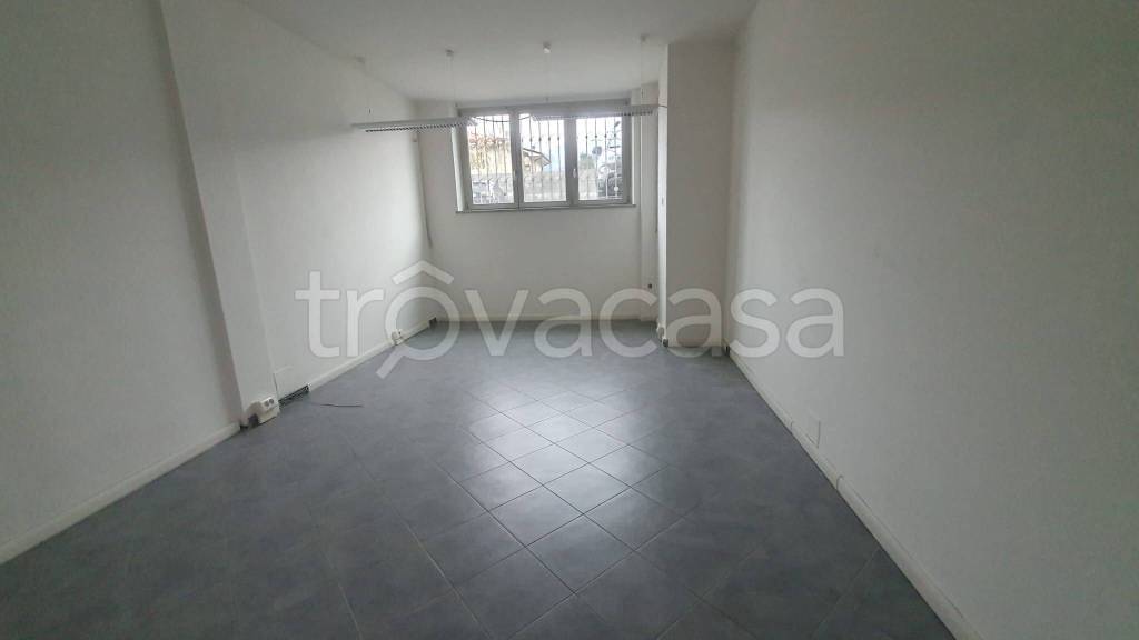 appartamento in affitto a Seravezza