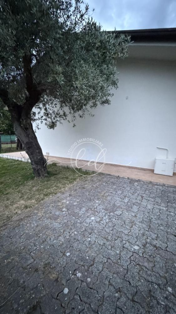 casa indipendente in affitto a Seravezza in zona Querceta