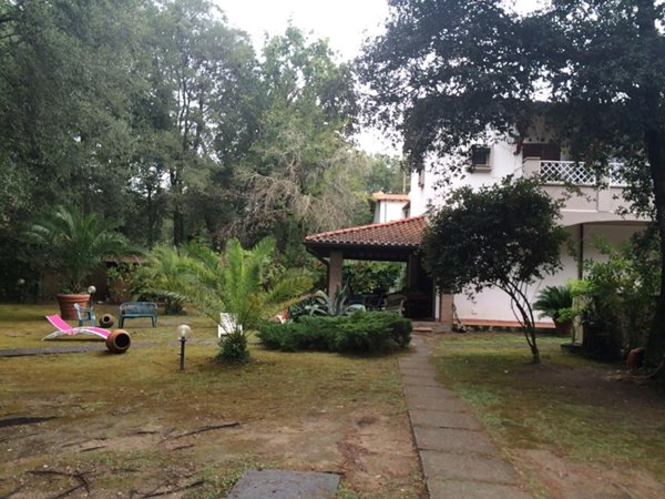 casa indipendente in affitto a Viareggio in zona Torre del Lago