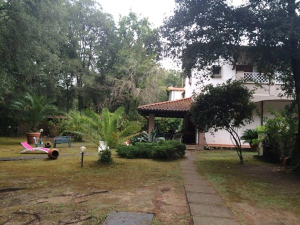 casa indipendente in affitto a Viareggio in zona Torre del Lago