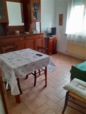 appartamento in affitto a Viareggio