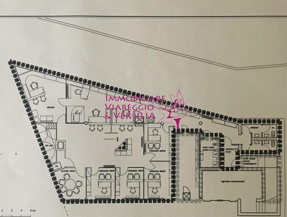 casa indipendente in affitto a Viareggio