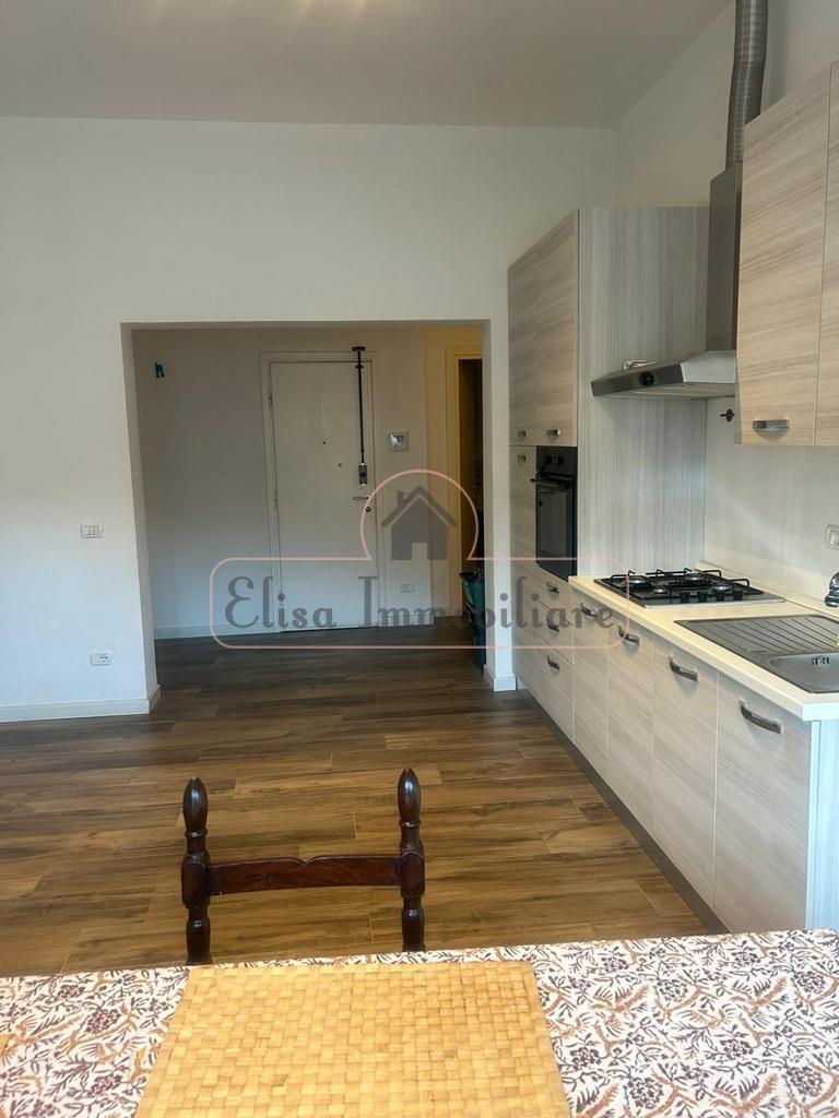 appartamento in affitto a Viareggio