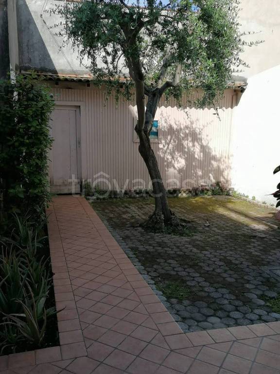 casa indipendente in affitto a Viareggio
