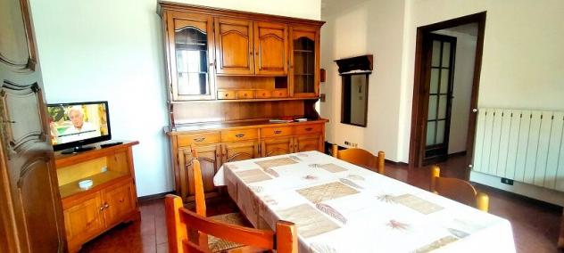appartamento in affitto a Viareggio in zona Marco Polo