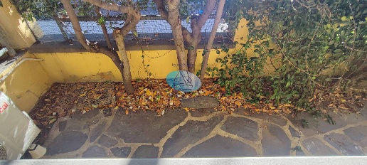 appartamento in affitto a Viareggio in zona Centro Storico