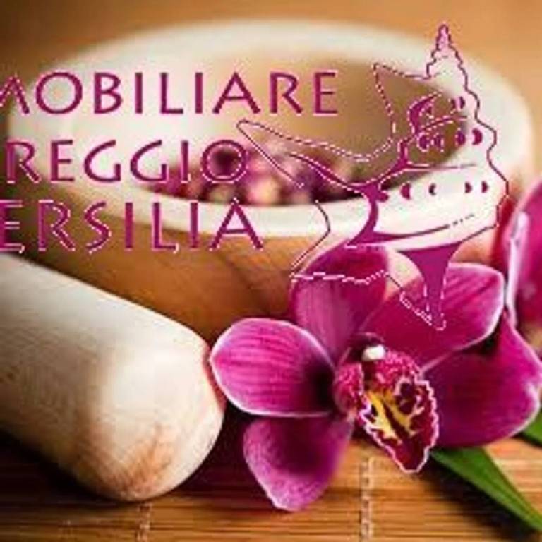negozio in affitto a Viareggio