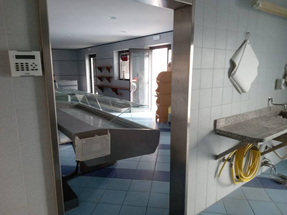 negozio in affitto a Viareggio