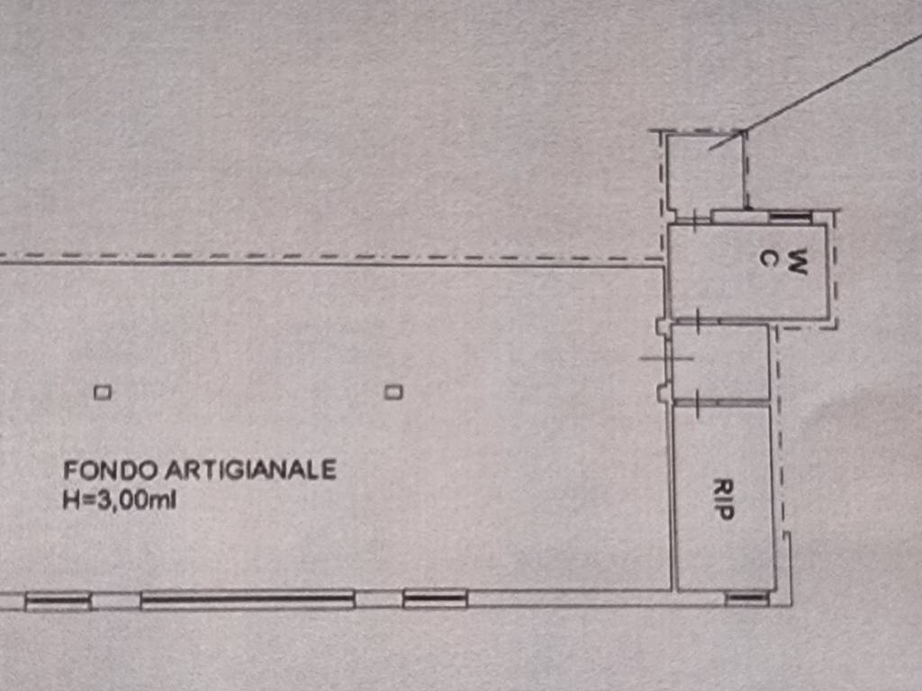 negozio in affitto a Viareggio in zona Migliarina