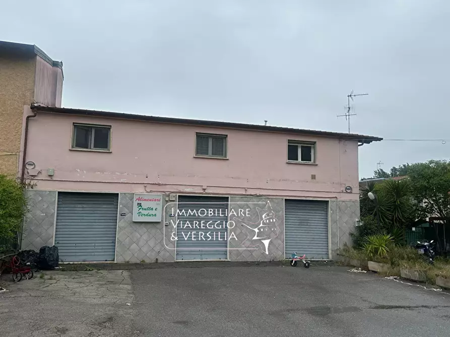 negozio in affitto a Viareggio