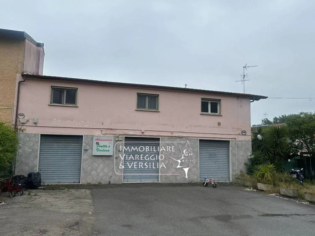 negozio in affitto a Viareggio