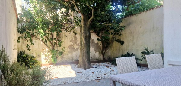 appartamento in affitto a Viareggio