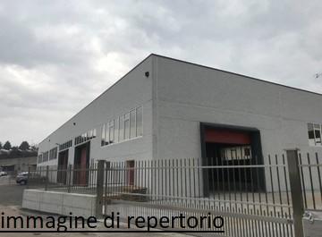 negozio in affitto a Viareggio
