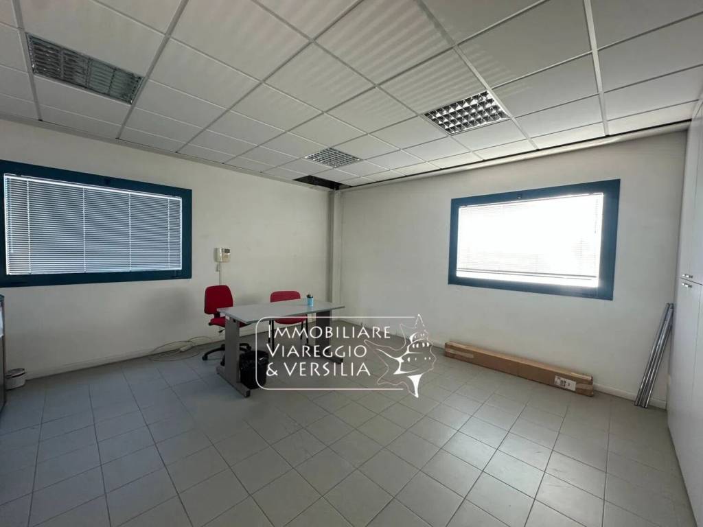 negozio in affitto a Viareggio in zona Migliarina
