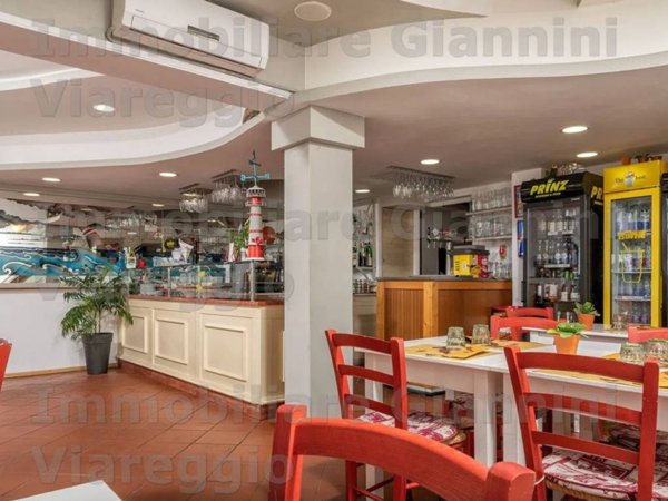 negozio in affitto a Viareggio in zona Campo d'Aviazione
