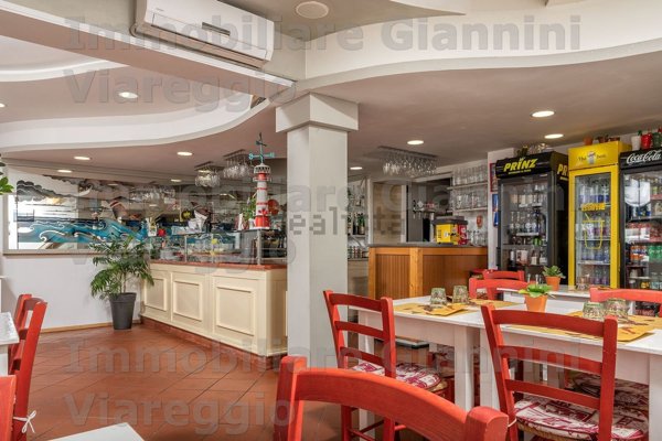 negozio in affitto a Viareggio in zona Centro Storico