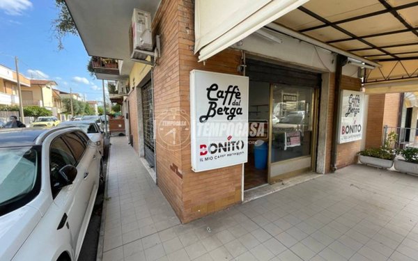 locale commerciale in affitto a Viareggio in zona Centro Storico