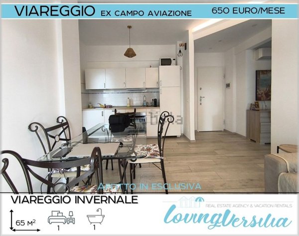 appartamento in affitto a Viareggio