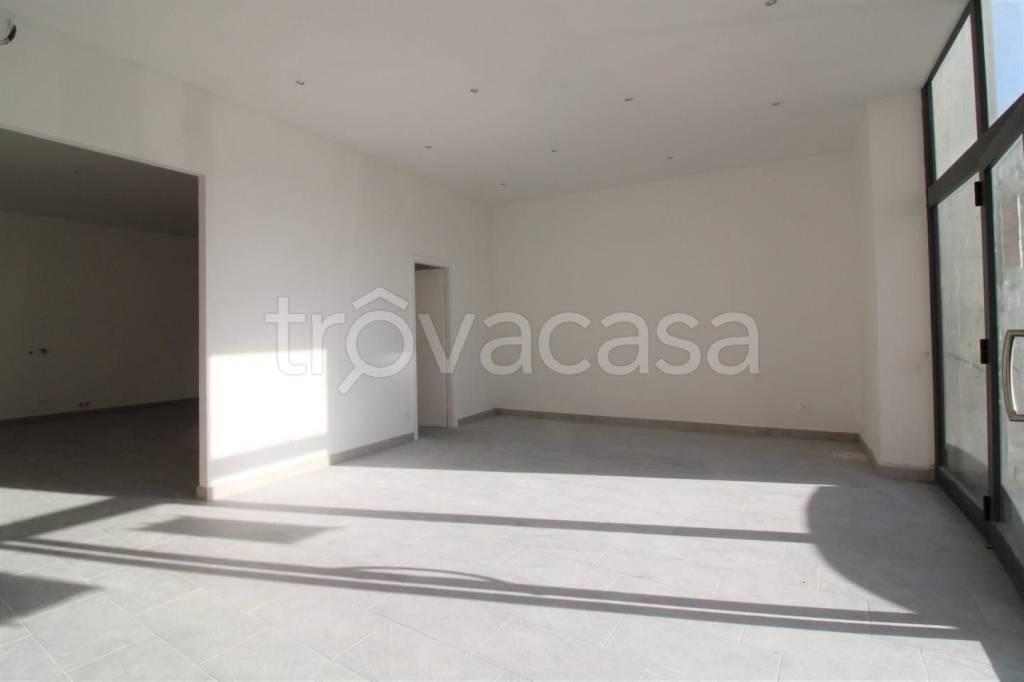 negozio in affitto a Viareggio