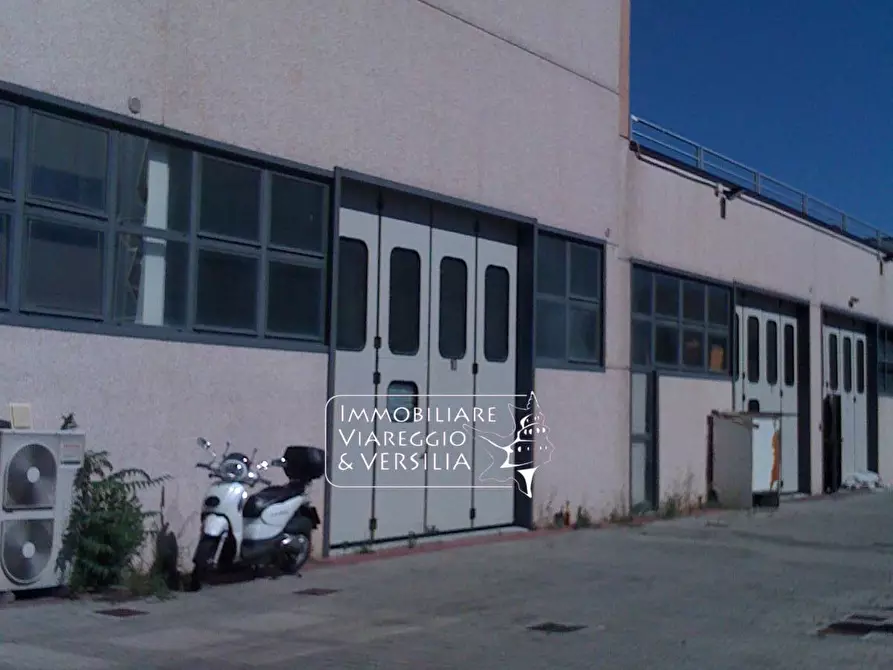 loft in affitto a Viareggio