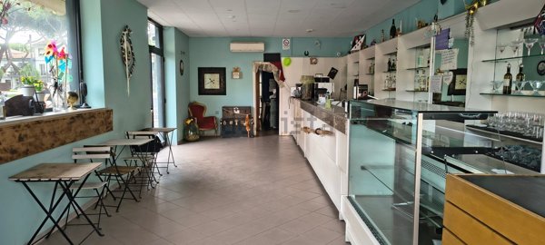 negozio in affitto a Viareggio