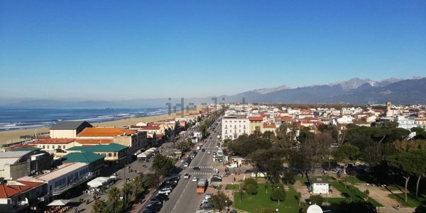 appartamento in affitto a Viareggio